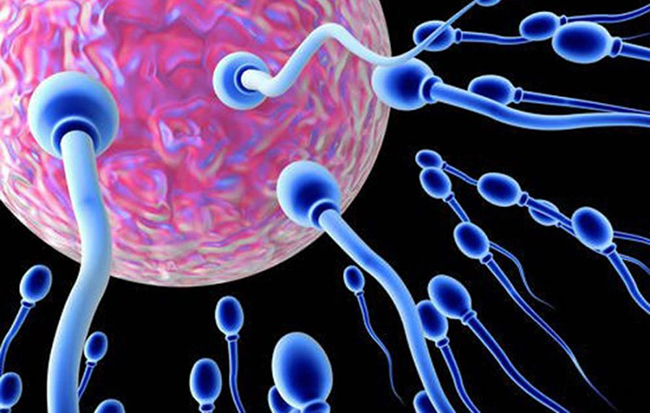 ilustracija Skoro 200 djece začeto spermom davaoca sa genetskom mutacijom koja izaziva rak