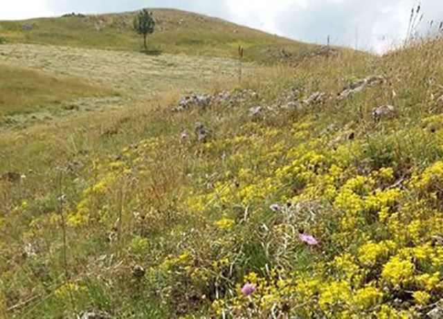 Uslovi za pljuskove i grmljavinu popodne na sjeveru Crne Gore