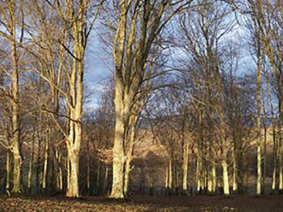 I sjutra sunčan zimski dan