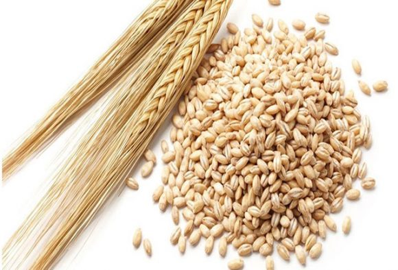 Stari Kinezi čuvali žito u trapovima