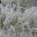 Pretežno sunčano, jutarnja temperatura vazduha od -9 do 6