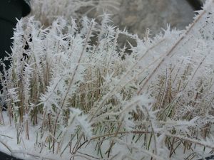 Pretežno sunčano, jutarnja temperatura vazduha od -9 do 6