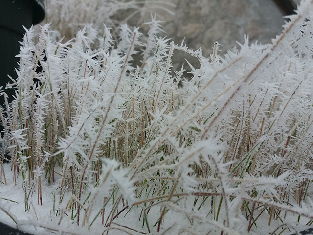Mrazovito jutro, sunčan dan