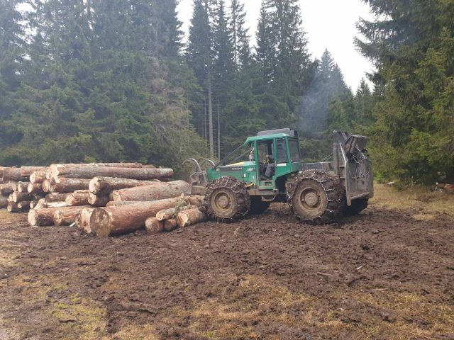Apel sindikata: Odgoditi primjenu Zakona o šumama
