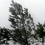 Sjeverni vjetar ponegdje na udare veoma jak