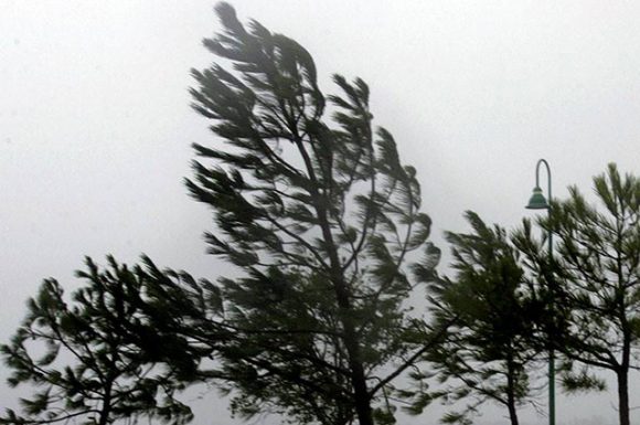 Sjeverni vjetar ponegdje na udare veoma jak