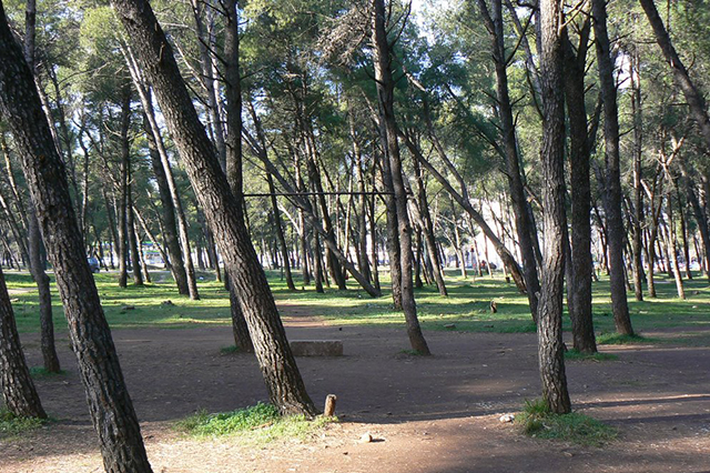 Dr Begović: Betoniranje Tološke šume je loša odluka