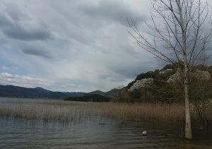 Umjereno do potpuno oblačno uz povremenu kišu