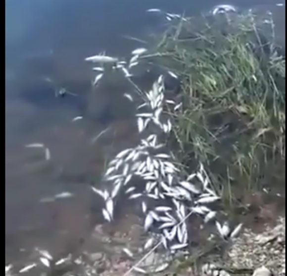 Ministarstvo turizma, ekologije, održivog razvoja i razvoja sjevera je ministarstvo koje je nadležno za pitanja zaštite prirode