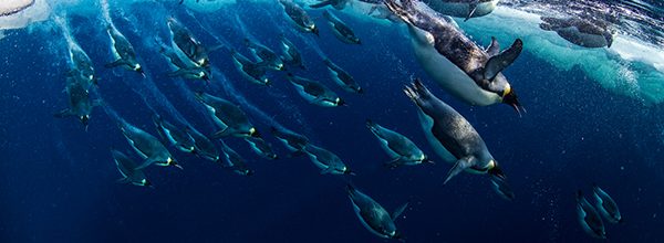 I pusta ostrva na udaru Trampa