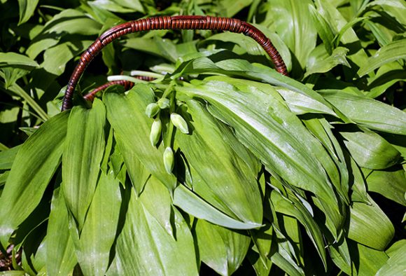 Duži sunčani intervali, vjetar južni