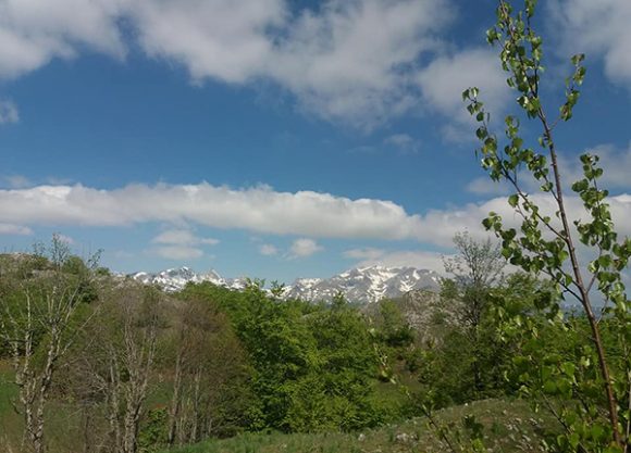 Zbog toplih talasa, turisti neće na Mediteran