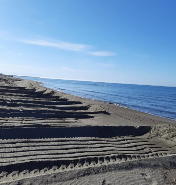 Poslednja linija odbrane