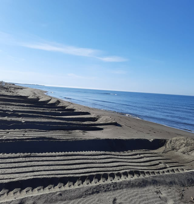 Poslednja linija odbrane