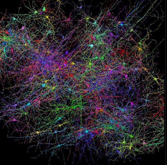 Postoji li kosmička svijesti?