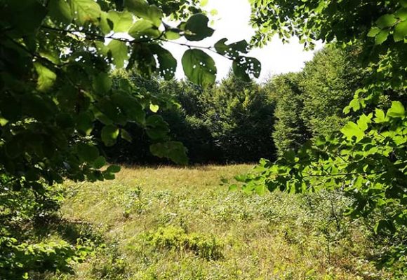 Na sjeveru CG biće uslova za kratkotrajne nestabilnosti