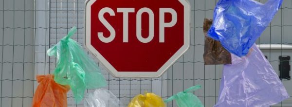 E-peticija za zabranu upotrebe plastičnih kesa u supermarketima
