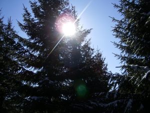 Najviša dnevna temperatura od 8 do 19 stepeni