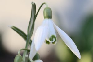 Promjenljivo oblačno sa sunčanim intervalima