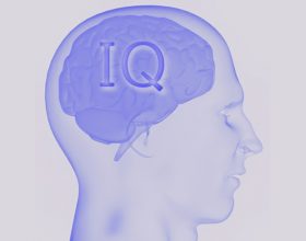 Najkraći IQ test