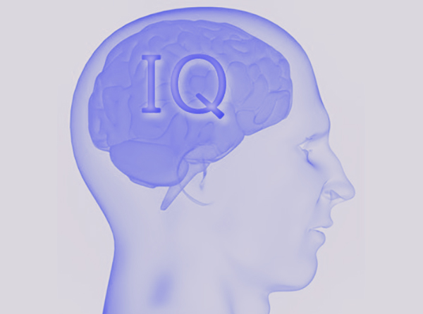 IQ