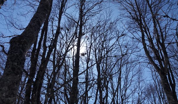 Manje oblaka, više sunca u drugom dijelu dana
