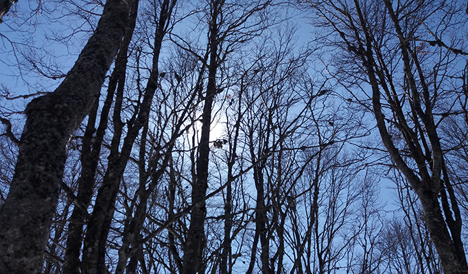 Manje oblaka, više sunca u drugom dijelu dana