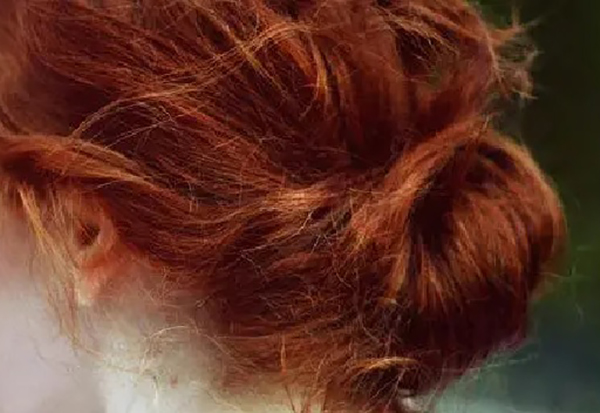 ilustracija U gradu Tilburgu, na jugu Holandije, hiljade crvenokosih ljudi iz cijelog svijeta su ovog vikenda na godišnjem festivalu koji "slavi kosu vatrene boje".