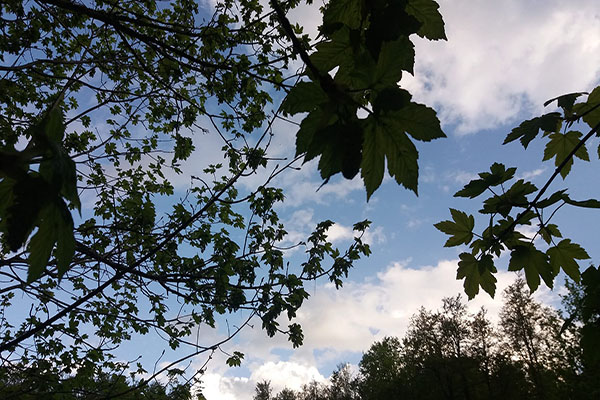 Sunčano i toplo, promjenljiv vjetar