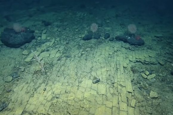 Istraživači otkrili masivne strukture u Atlantskom okeanu