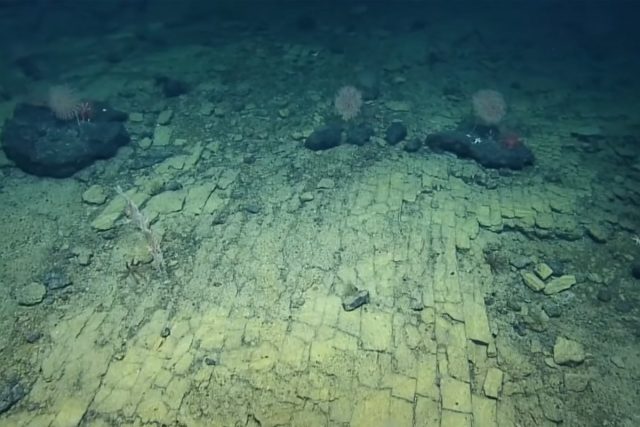 Istraživači otkrili masivne strukture u Atlantskom okeanu