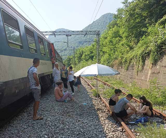 voz brodarevo