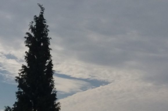 Najviša dnevna temperatura od 21 do 28 stepeni