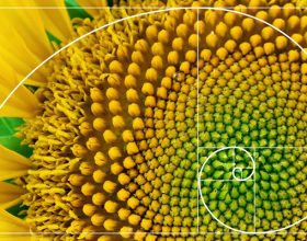 Danas je Fibonačijev dan