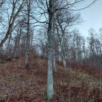 Pretežno sunčano, najviša dnevna temperatura vazduha od 11 do 21 stepen