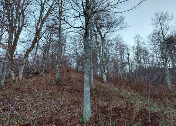 Pretežno sunčano, povremeno uz malu do umjerenu oblačnost