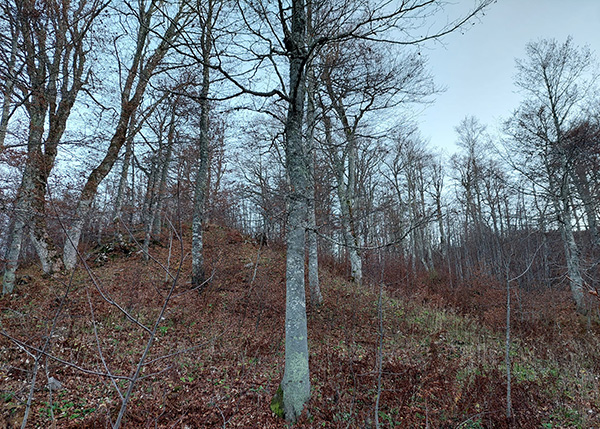 Pretežno sunčano, povremeno uz malu do umjerenu oblačnost