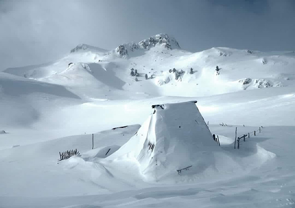 Sinjajevina (Sinjavina) zove na zaštitu i očuvanje