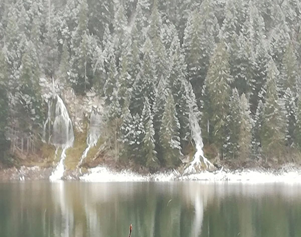 celine-durmitor