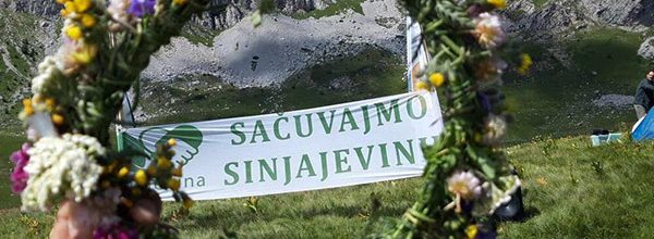 GI Sačuvajmo Sinjajevinu poziva na katun Margita