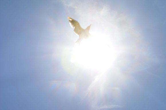 Da li duša napušta tijelo nakon smrti?