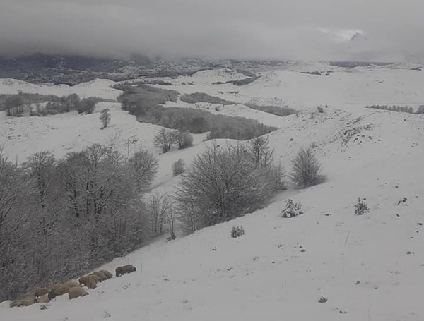 Prvi snijeg na planinama, ali i niže