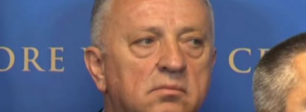 zoran lazovic