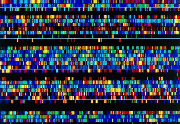 Britanci bi da stvore vještački ljudski genom