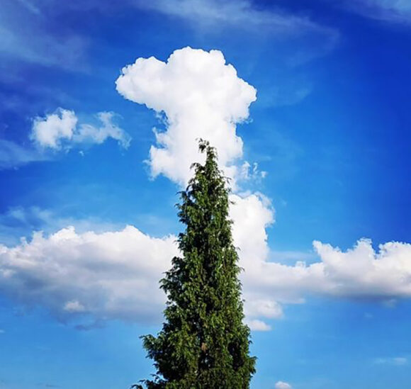 Tokom jutra i noći duvaće ponegdje pojačan sjeveroistočnjak