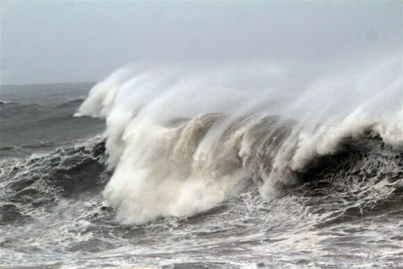 Australija sada štiti najveću površinu okeana na svijetu
