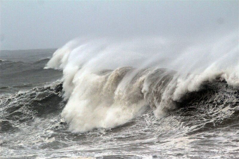 Australija sada štiti najveću površinu okeana na svijetu