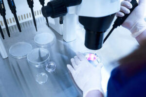 laboratorija