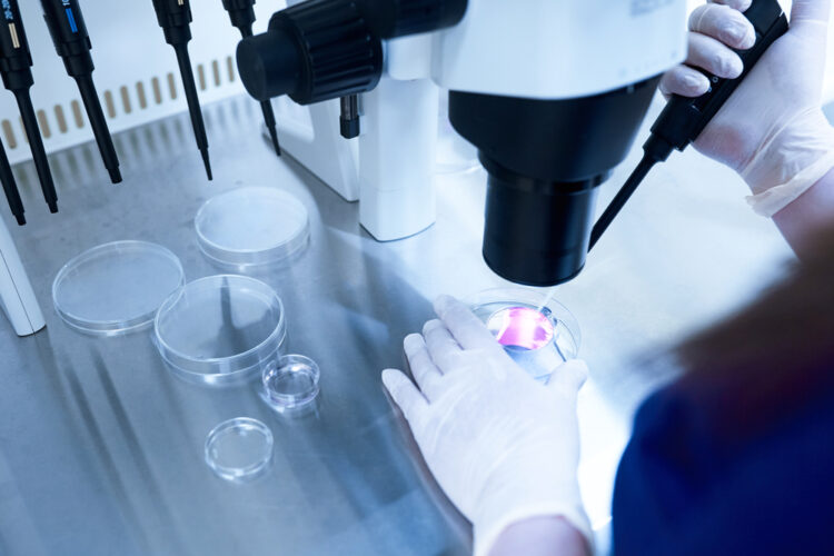 laboratorija