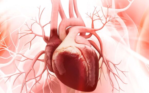 Pesmejker manji od zrna pirinča